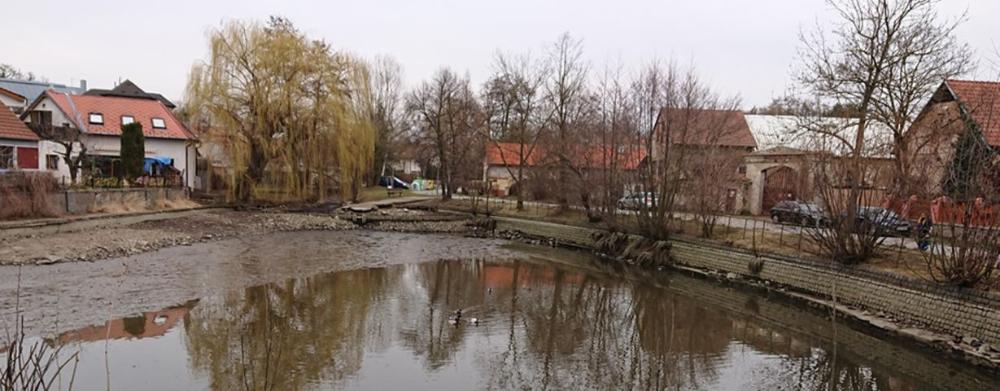 Revitalizace rybníku Obecňák