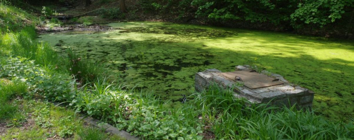 branicky-rybnik-ilu1204px