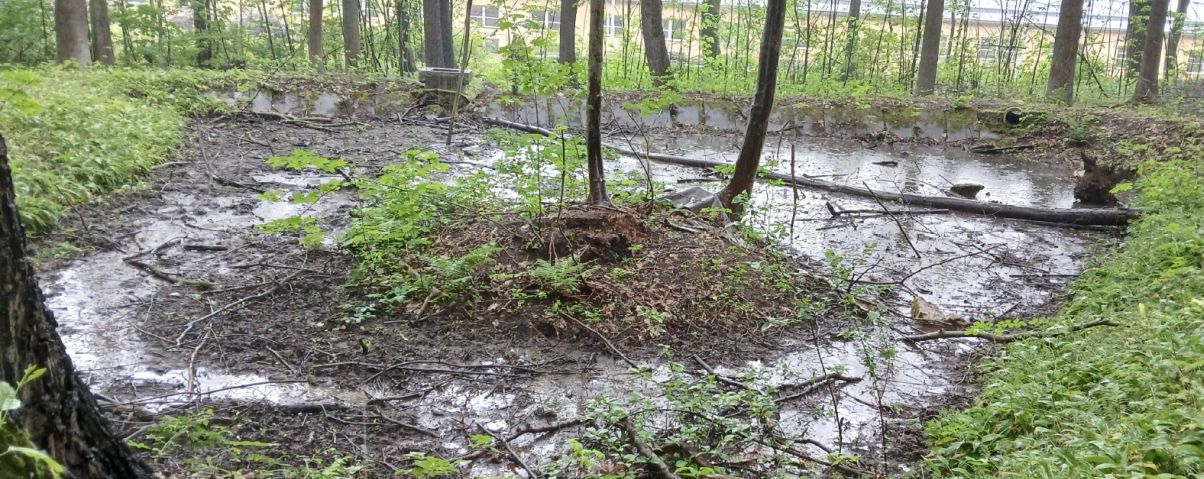 rybnik-balounek-ilu1204px