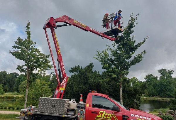 20250718_090438-orez-600px