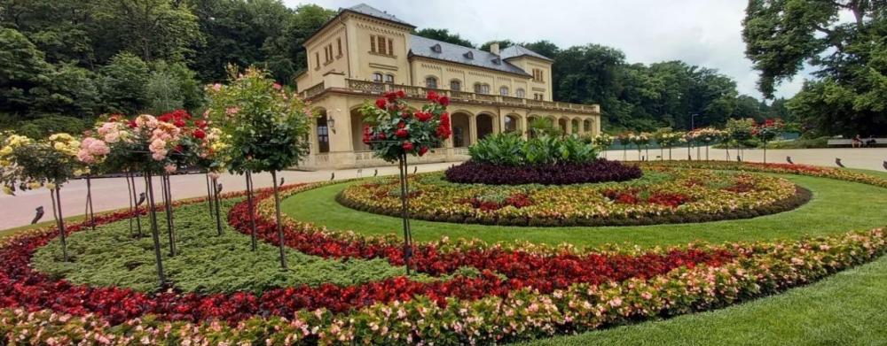 Stromovka-parter-Slechtovka-ilu1229px