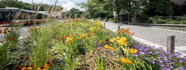 banner-priklady-dobre-praxe-372x140