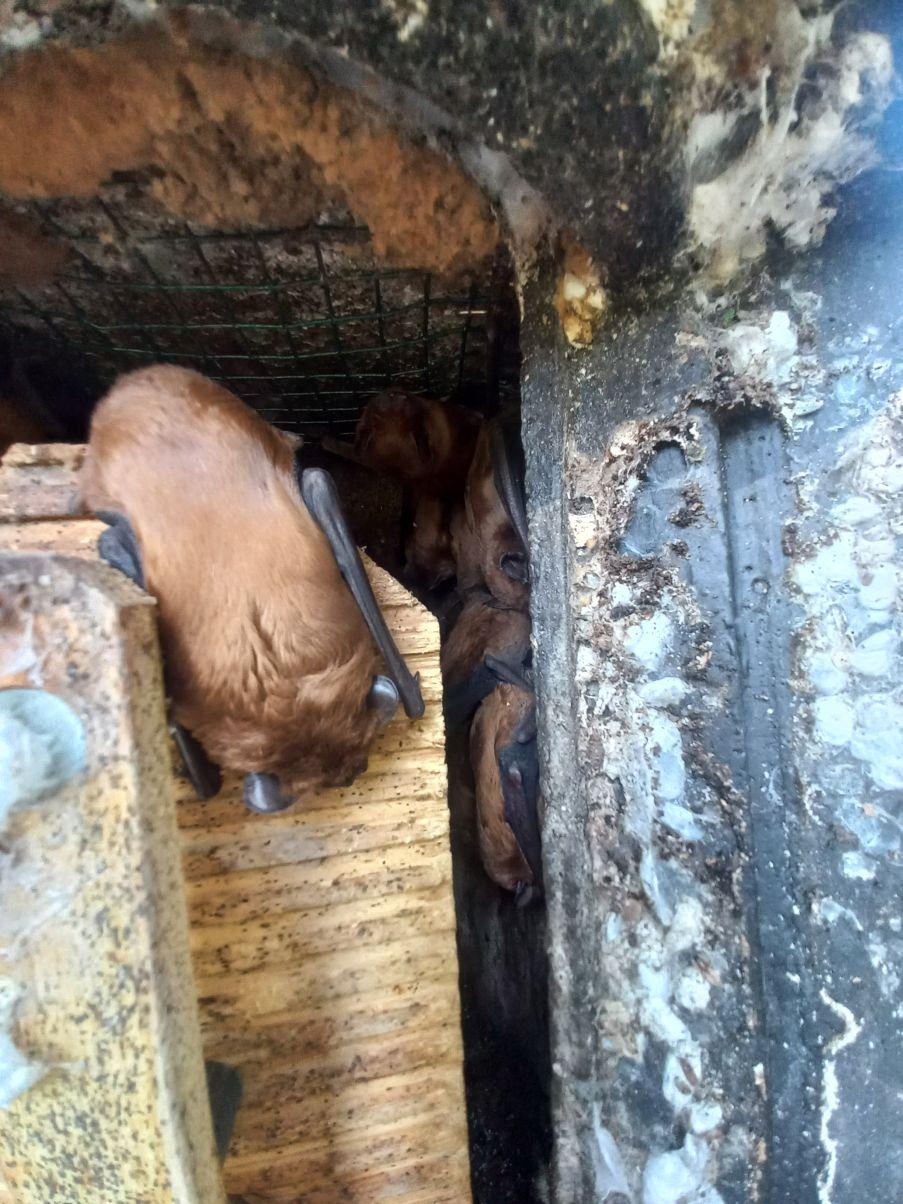 20231017_101754 1204px