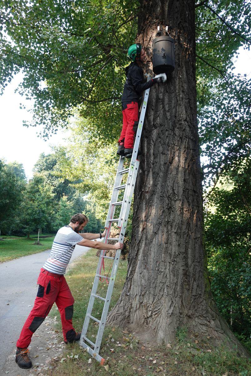 kontrola budek_Eva Cepáková 1204px