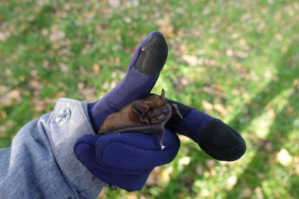 kontrola budek_Eva Cepáková 2 1204px