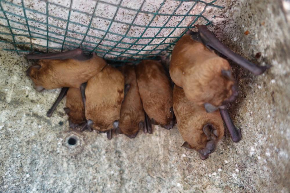 kontrola budek_Eva Cepáková 3 1204px