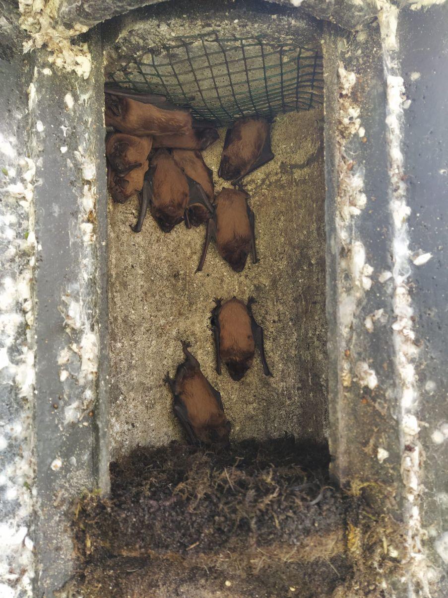 kontrola budek_Petr Vilhelm 1204px