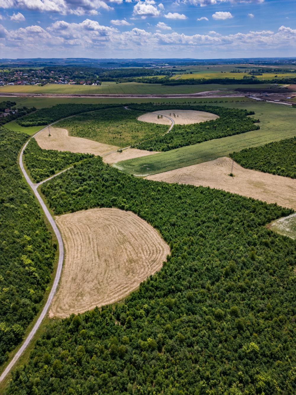 2_Lesopark V Panenkách