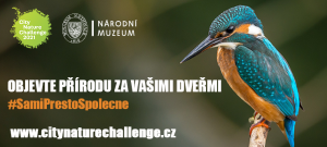 City Nature Challenge 2021: Praha, podklad pro měničku