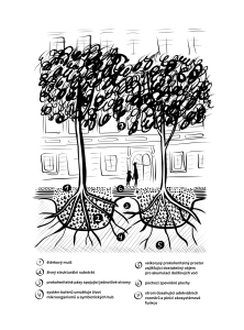 Výsadba listn.stromů v ul.Vršovická v úseku Bělocerkevská&#8211;Kubánské nám., schema v pdf