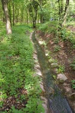 krutecky_potok1_ilu_jpg