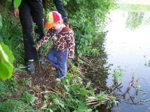 vysadbaproutku_2_jpg