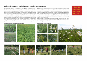informační panel k realizaci Květnaté louky na dně bývalého rybníka ve Stromovce, PDF verze