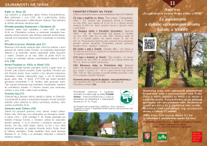 trasa_c11_za_pamstromy_Satalic_a_Vinore_2024-nahled