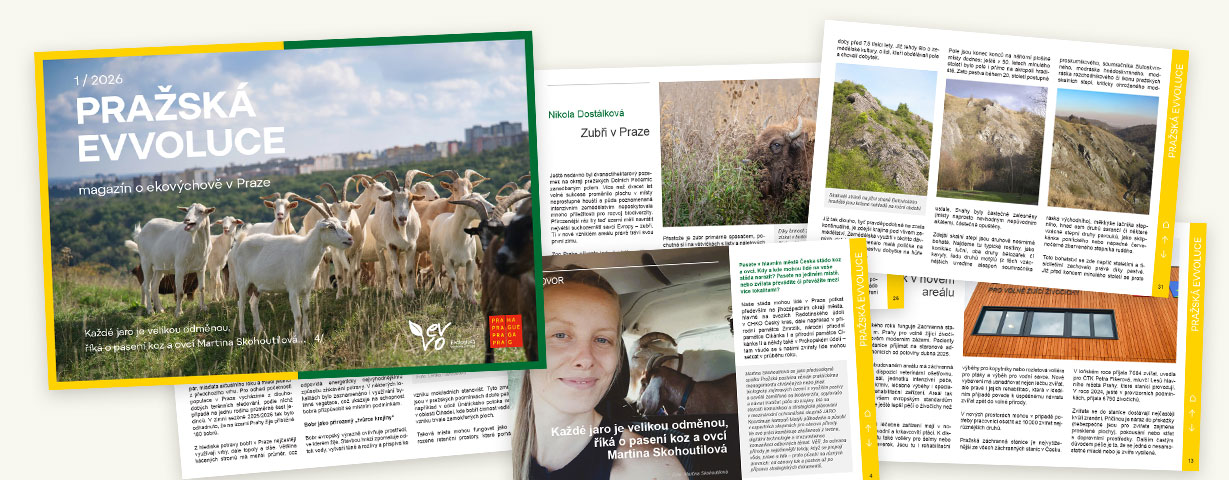 PrEVVO-12026-banner1229px