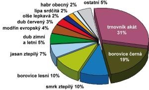 modrrokle_zastdrevin_jpg