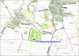 map_vcholupbazant_gif