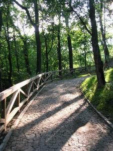 kz_27_6_2005_nove_cesty5_jp_jpg