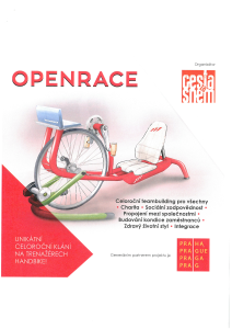 open_race_info