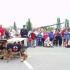 497404_3.9.2006-Záchranářský pes našel v "troskách" člověka, který potřebuje pomoc