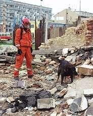 Služební psi pražské městské policie zachraňují životy po celé republice