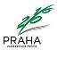 praha_oh_logopantone_cz_65_jpg