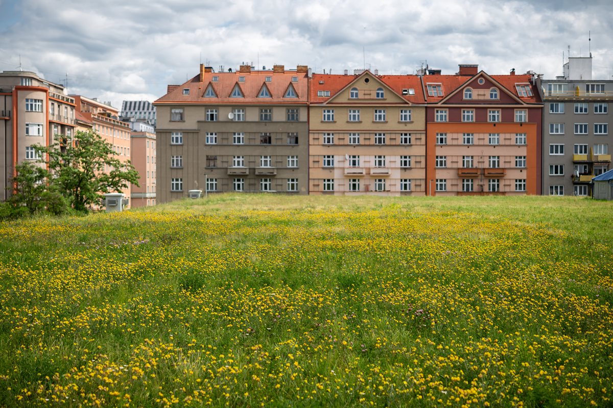 Rozkvetlá střecha vodojemu Flora