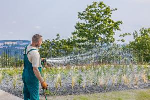 54658434363_10731eb68b_o