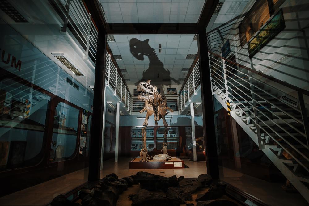 Chlupáčovo muzeum historie Země
