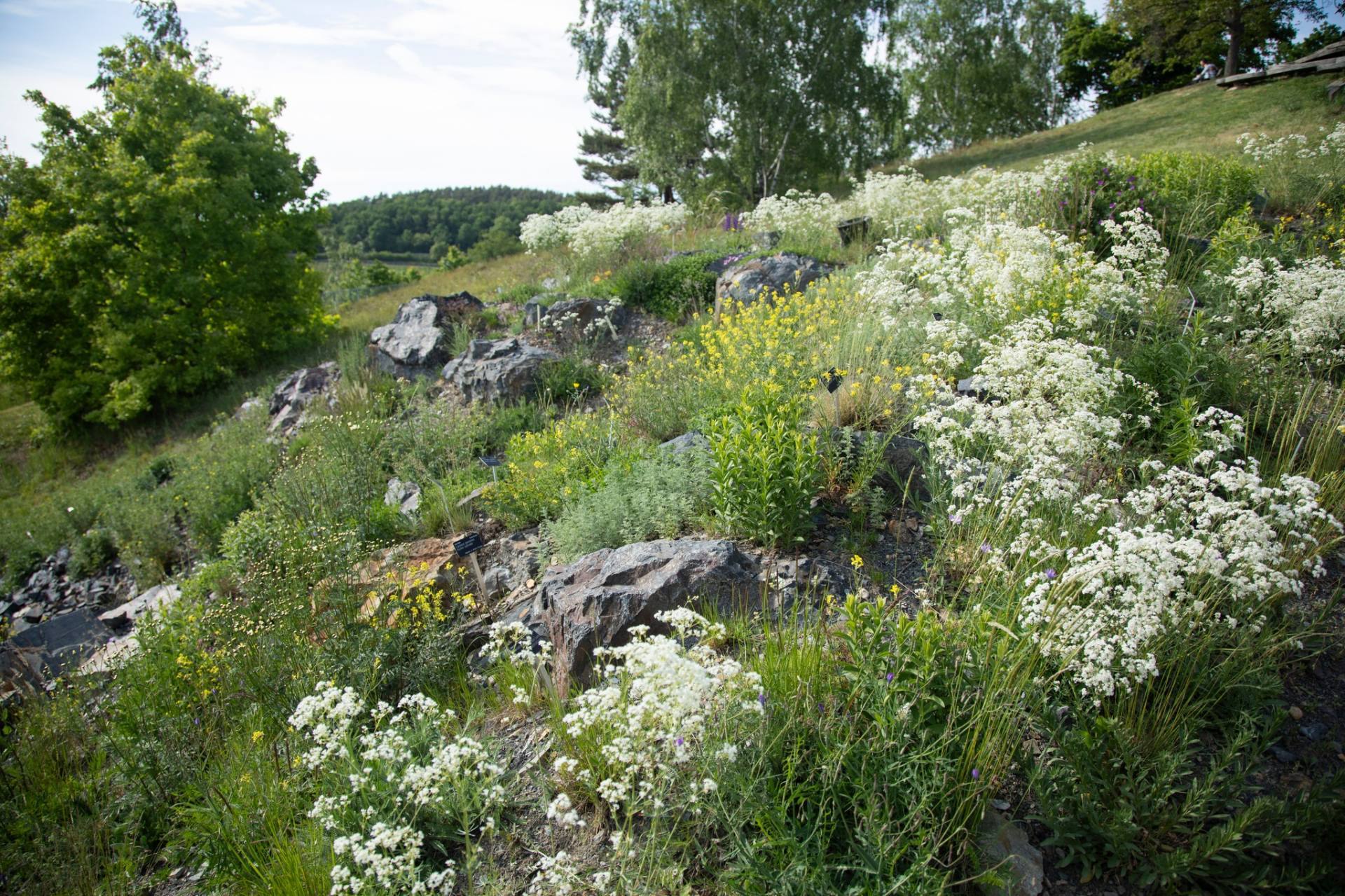 Expozice Archa Bohemica v trojské botanické zahradě 
