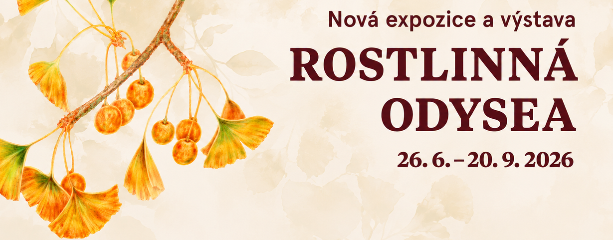Botanická -Rostlinná odysea