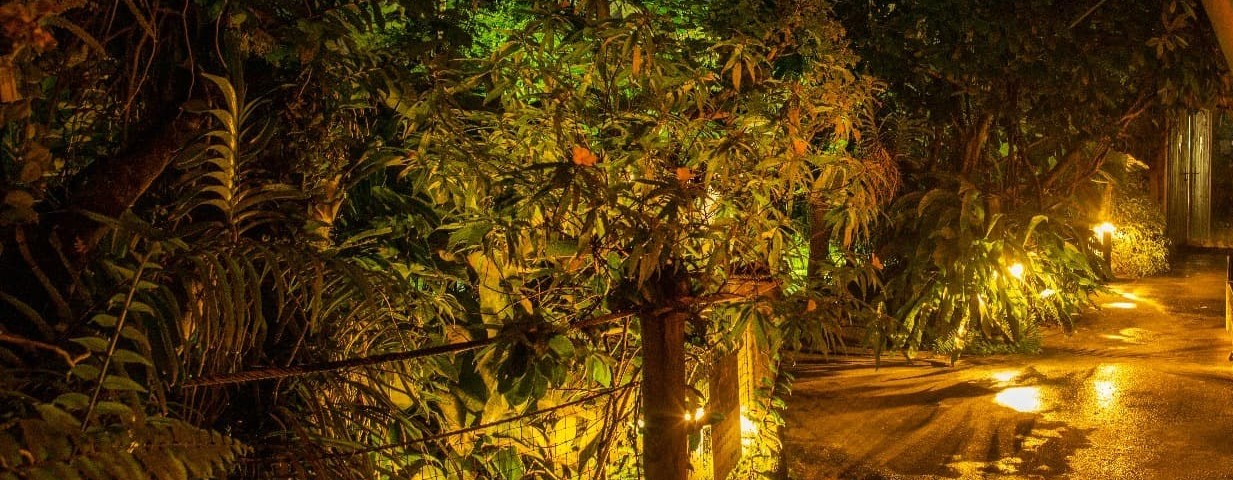 Skleník Fata Morgana -džungle