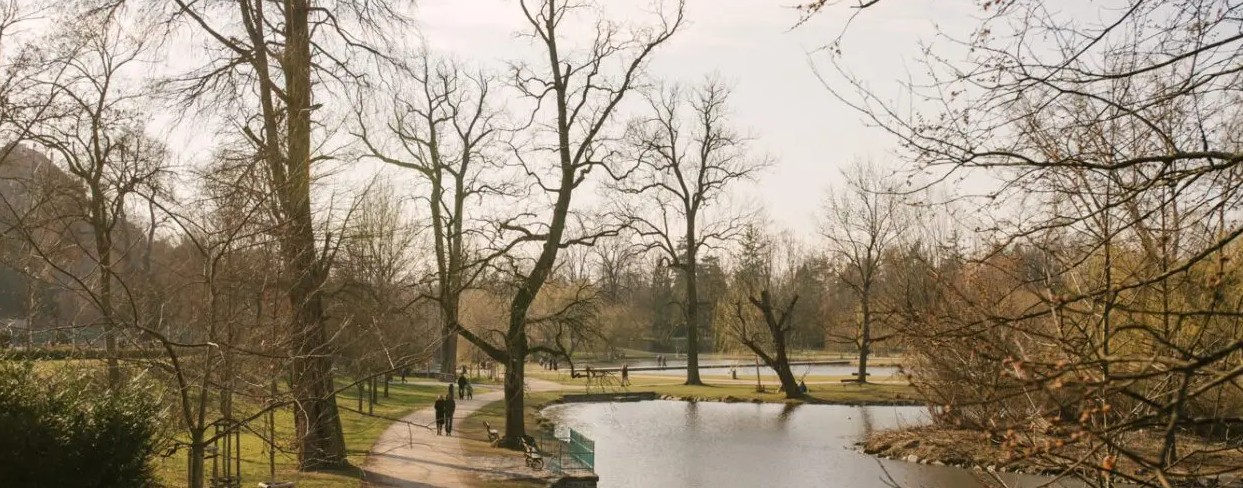 Ilustrační foto - Stromovka v předjaří