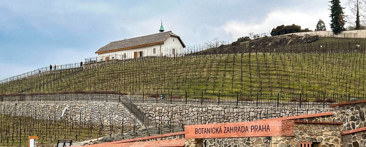 Viniční domek a vinice sv. Kláry