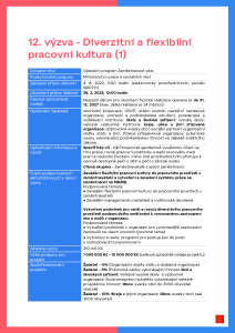 Výzva č. 012 - Diverzitní a flexibilní pracovní kultura (1)