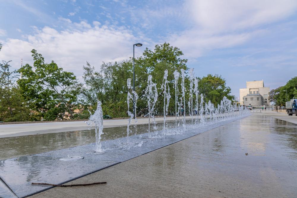 54658210666_7d60cd736f_o