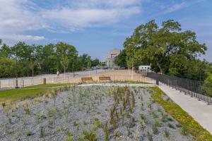 54658210836_c0384b2a74_o