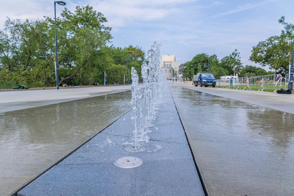 54658434353_cfff2854c3_o