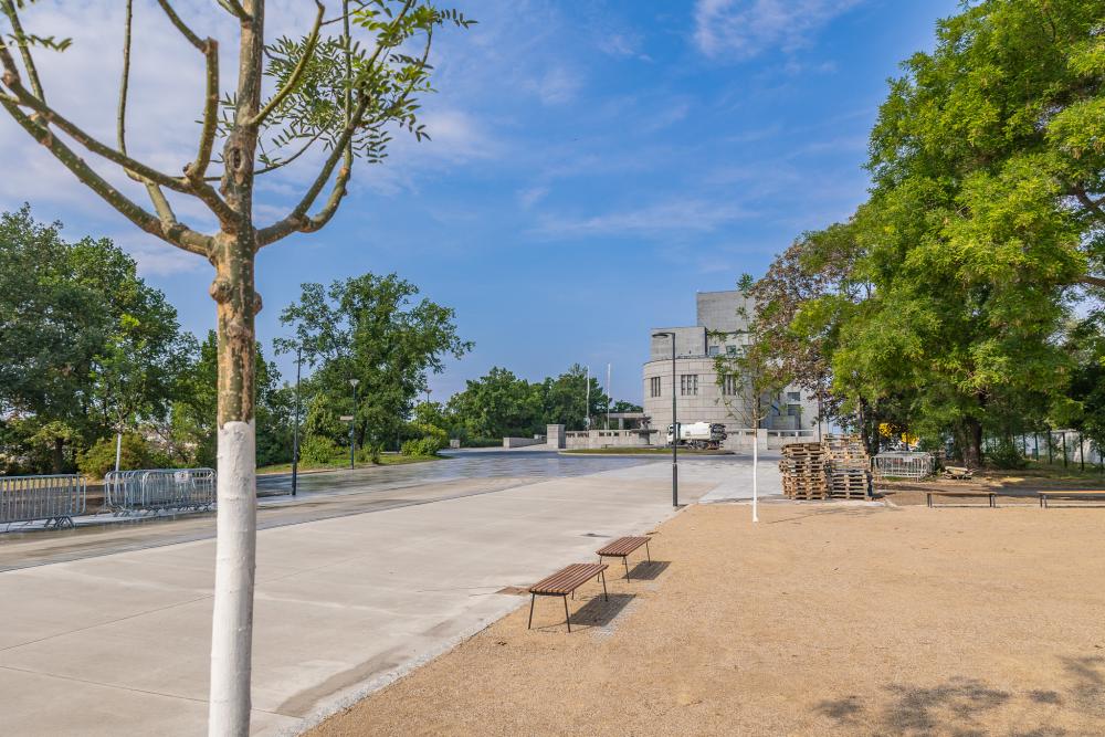 54658441749_c7c9abff66_o