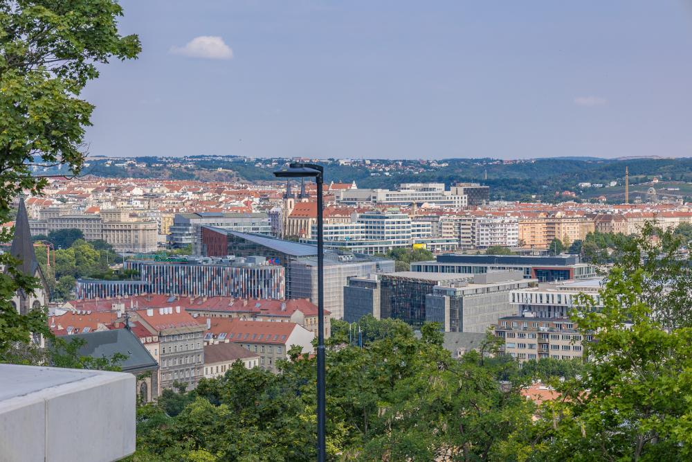 54658441849_0625ccd7d6_o