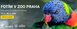 Fotím v Zoo Praha