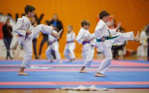 MCR_karate_2016_Kozak_31