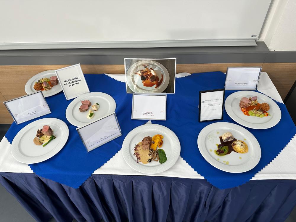 Sollertia_obor Kuchar