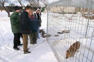 Primátor MUDr.Pavel Bém navštívil útulek pro handicapoovaná zvířata v Jinonicích.