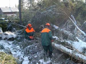 464136_Zaměstnanci Lesů HMP při odstraňování následků větrné smršti ve Vysokých Tatrách