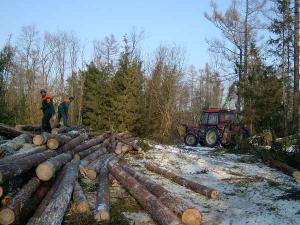 464148_Zaměstnanci Lesů HMP při odstraňování následků větrné smršti ve Vysokých Tatrách