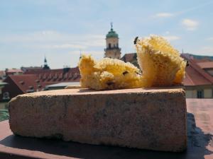 Pražský magistrát stočil další várku Metropolitního medu