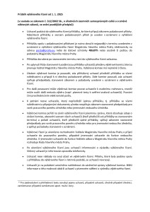 Průběh výběrového řízení_postup_1.1.2025.pdf