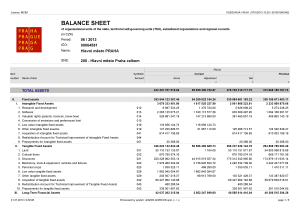 Balance_Sheet_6_2013