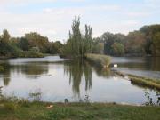 Biologické rybníky v Čakovicích